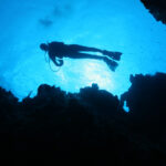 Scuba diving in the Gulf of Mexico