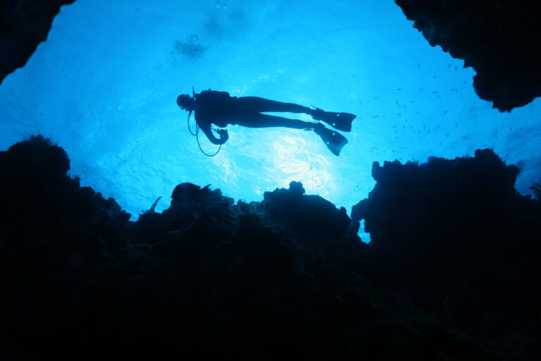 Scuba diving in the Gulf of Mexico